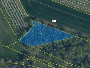 Dražba lesa, Jeviněves, 4557 m2