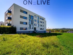 Pronájem bytu 2+kk, Plzeň, Střední cesta, 51 m2