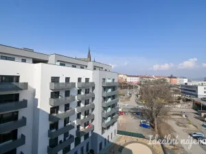 Pronájem bytu 2+kk, Brno - Staré Brno, Ghegova, 51 m2