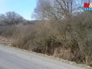 Prodej pozemku, Jinín, 3389 m2