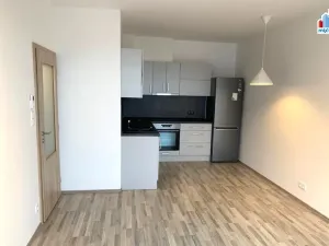 Pronájem bytu 2+kk, Plzeň - Jižní Předměstí, Stehlíkova, 50 m2