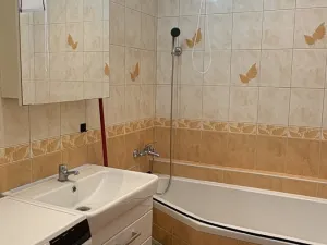 Pronájem bytu 1+1, Horažďovice, Pod Vodojemem, 36 m2