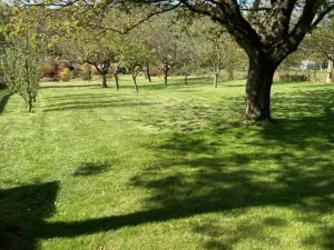 Prodej pozemku pro bydlení, Bílovec, 1117 m2