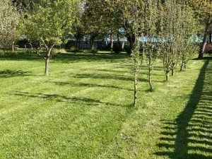 Prodej pozemku pro bydlení, Bílovec, 1117 m2