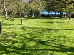 Prodej pozemku pro bydlení, Bílovec, 1117 m2