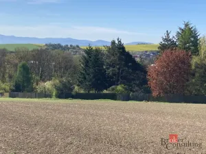 Prodej pozemku pro bydlení, Bílovec, 1117 m2