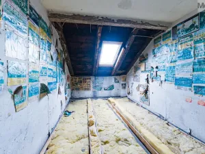 Prodej vícegeneračního domu, Luby, Chebská, 445 m2