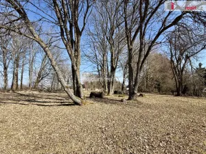 Prodej rodinného domu, Mnichov - Rájov, 5390 m2