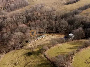 Prodej zemědělské usedlosti, Lhotka u Litultovic, 162 m2