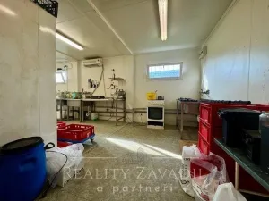 Prodej výrobních prostor, Brumovice, Hlavní, 60 m2
