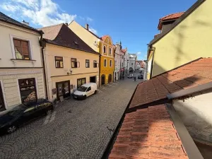 Prodej obchodního prostoru, Pelhřimov, 342 m2