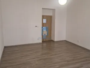 Pronájem bytu 2+kk, Plzeň, Solní, 55 m2