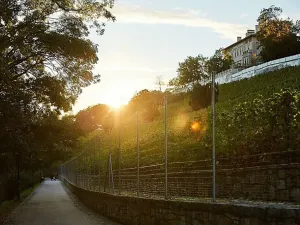 Prodej bytu 2+kk, Praha - Nusle, Bělehradská, 54 m2