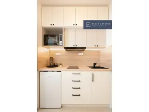 Pronájem bytu 1+kk, Brno, Anenská, 16 m2