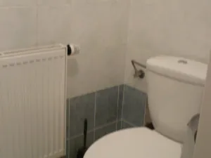 Pronájem bytu 1+kk, Ostrava - Vítkovice, Tržní, 25 m2