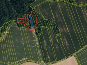 Prodej lesa, Lhota, 1562 m2