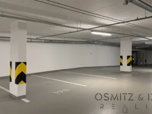 Pronájem garážového stání, Praha - Nusle, Závišova, 15 m2