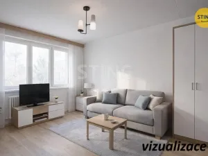 Prodej bytu 1+1, Zlín, Chelčického, 30 m2