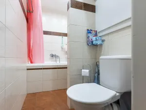 Pronájem bytu 4+kk, Litoměřice, Družstevní, 64 m2