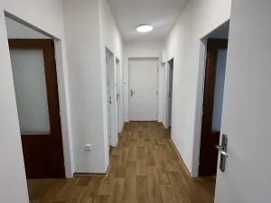 Pronájem bytu 3+1, Dolany, 98 m2