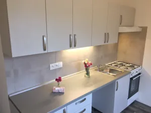 Pronájem bytu 2+1, Ostrava - Zábřeh, Patrice Lumumby, 55 m2