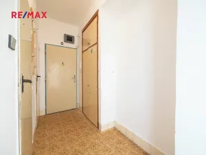 Prodej bytu 2+1, Praha - Žižkov, Pod lipami, 53 m2