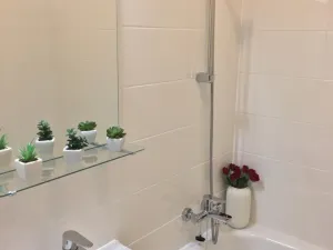 Pronájem bytu 2+1, Ostrava - Hrabůvka, Plzeňská, 54 m2