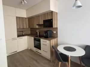 Pronájem bytu 2+kk, Brno - Židenice, Líšeňská, 45 m2