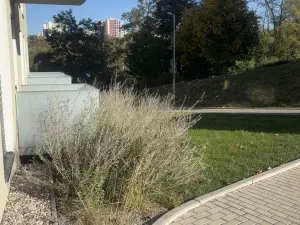 Pronájem bytu 2+kk, Brno - Židenice, Líšeňská, 45 m2