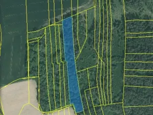 Dražba lesa, Blížejov, 4624 m2