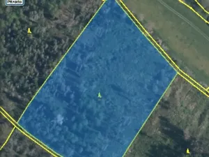 Dražba lesa, Kropáčova Vrutice, 15167 m2