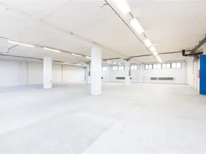 Pronájem skladu, Planá nad Lužnicí, Chýnovská, 674 m2
