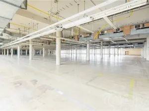 Pronájem skladu, Písek, U Vodárny, 4000 m2