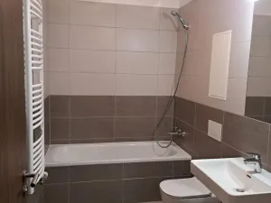 Pronájem bytu 1+kk, Praha - Dolní Měcholupy, Honzíkova, 42 m2