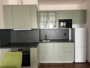 Pronájem bytu 1+kk, Praha - Dolní Měcholupy, Honzíkova, 42 m2