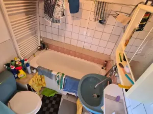 Prodej rodinného domu, Větrušice, Chaloupky, 50 m2