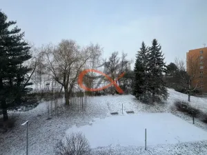 Prodej bytu 2+1, Nový Jičín, Dlouhá, 56 m2