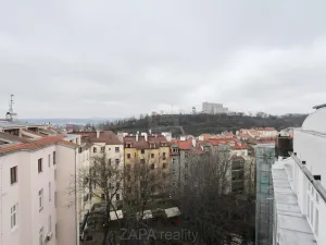 Pronájem pokoje, Praha - Žižkov, Blahníkova, 32 m2