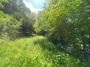 Dražba pozemku, Malá Bystřice, 933 m2