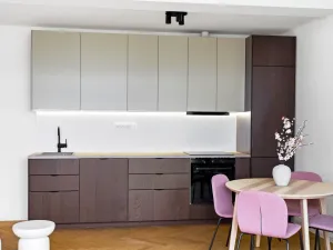 Pronájem bytu 2+kk, Praha - Žižkov, Biskupcova, 48 m2