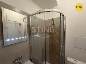 Pronájem bytu 1+kk, Ostrava, Nádražní, 19 m2