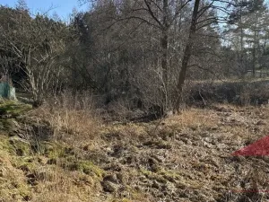 Prodej chaty, Velký Bor - Slivonice, 35 m2