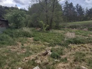 Prodej chaty, Velký Bor - Slivonice, 35 m2