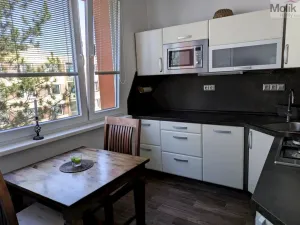 Prodej bytu 2+1, Duchcov, V Domkách, 60 m2