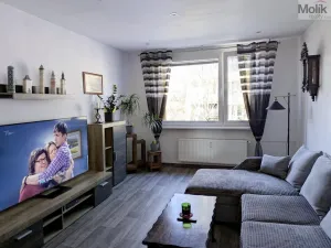 Prodej bytu 2+1, Duchcov, V Domkách, 60 m2