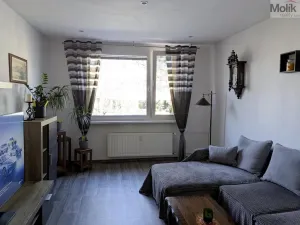 Prodej bytu 2+1, Duchcov, V Domkách, 60 m2