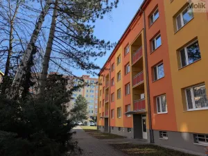 Prodej bytu 2+1, Duchcov, V Domkách, 60 m2