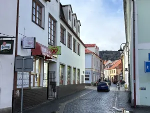 Prodej obchodního prostoru, Sušice - Sušice I, náměstí Svobody, 385 m2