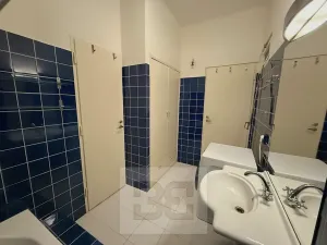 Pronájem bytu 4+kk, Praha - Vinohrady, Londýnská, 96 m2
