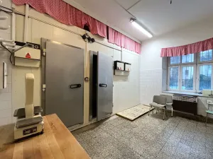 Pronájem obchodního prostoru, Brno, Gorkého, 101 m2